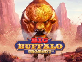 game logo by Skywind Group on spinjo.se