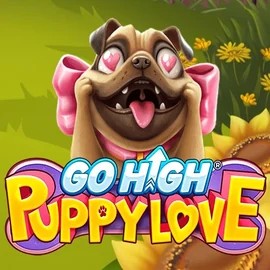 game logo by RubyPlay on spinjo.se
